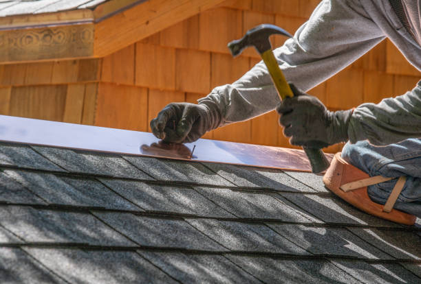 Best Roof Leak Repair  in Wells, MN