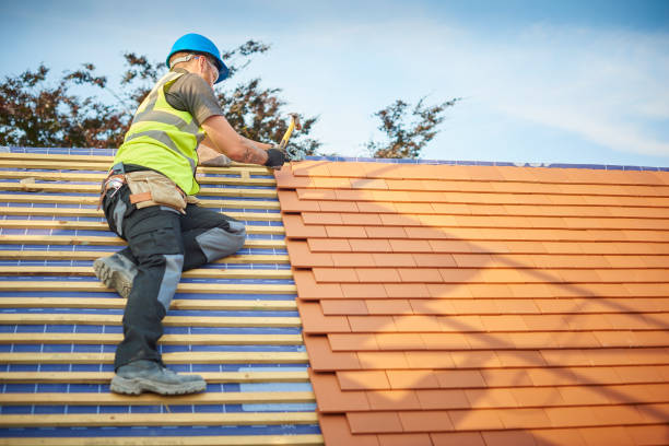 Asphalt Shingles Roofing in Wells, MN